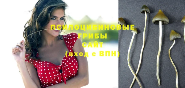 соль курить ск Краснослободск