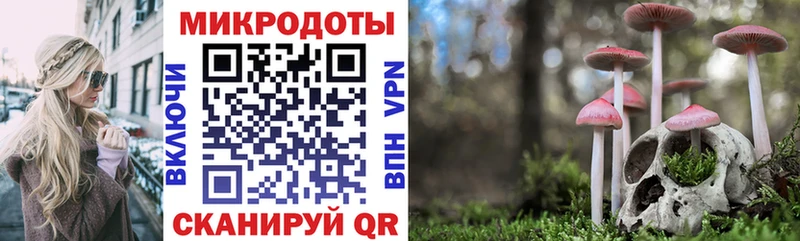 Галлюциногенные грибы Psilocybe  Нижний Ломов 